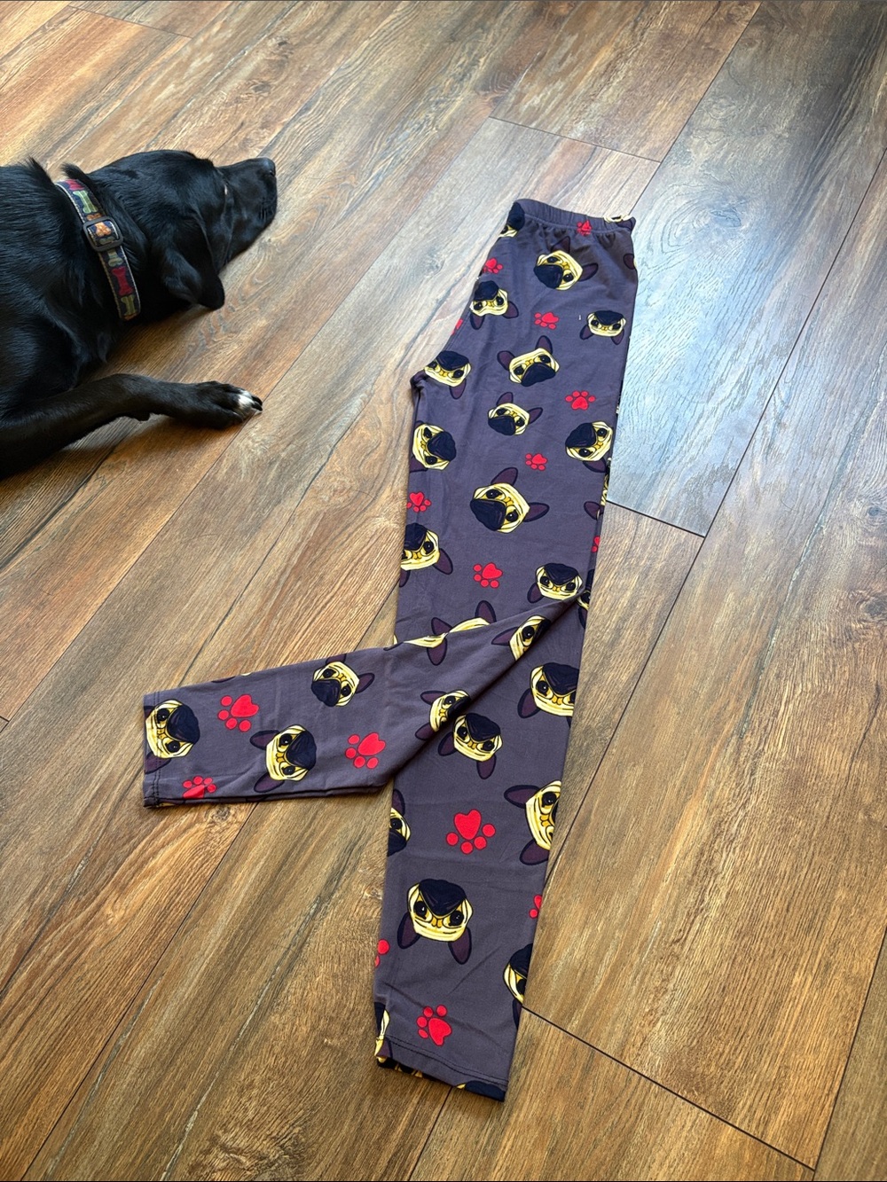 Novelty Pug Face Leggings with Red Paw Prints